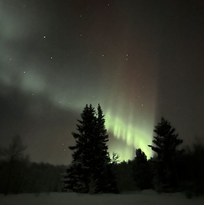 Silhouette of trees with green bands and stars