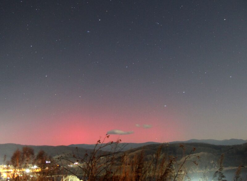 Faint aurora, with wispy plant in foreground.