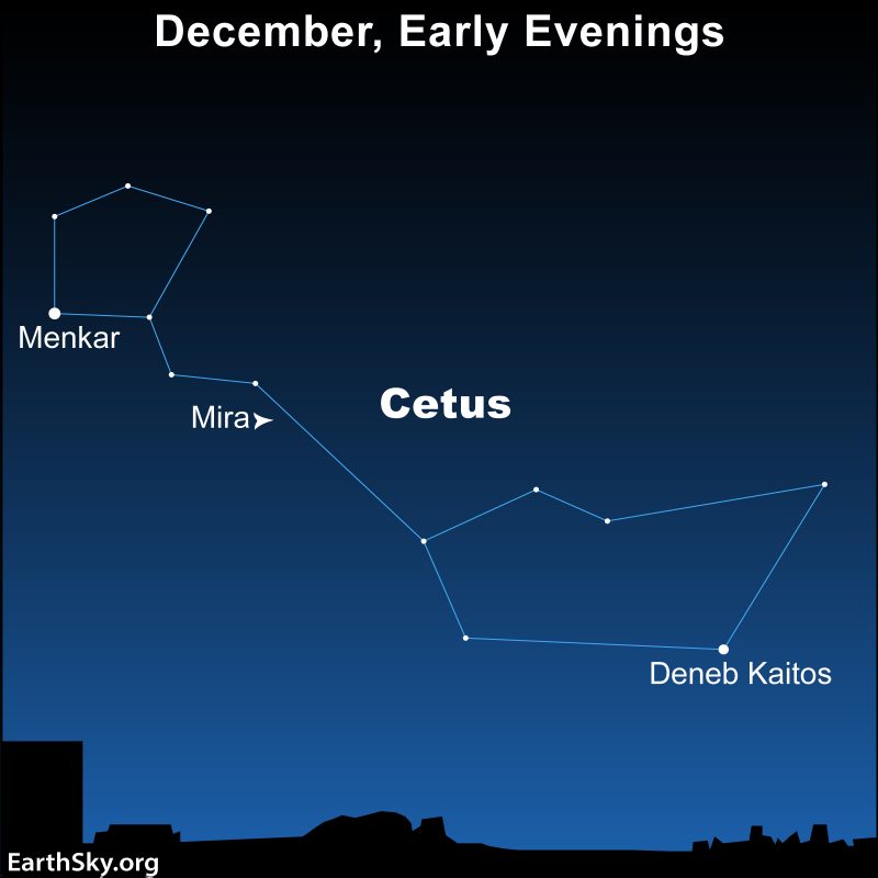 Star chart showing a long constellation with several stars labeled.