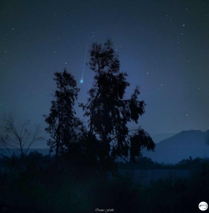 Dark blue sky with comet behind very dark foreground trees and hills in the background.