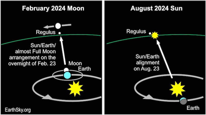 February full moon and August sun both lie near Regulus.