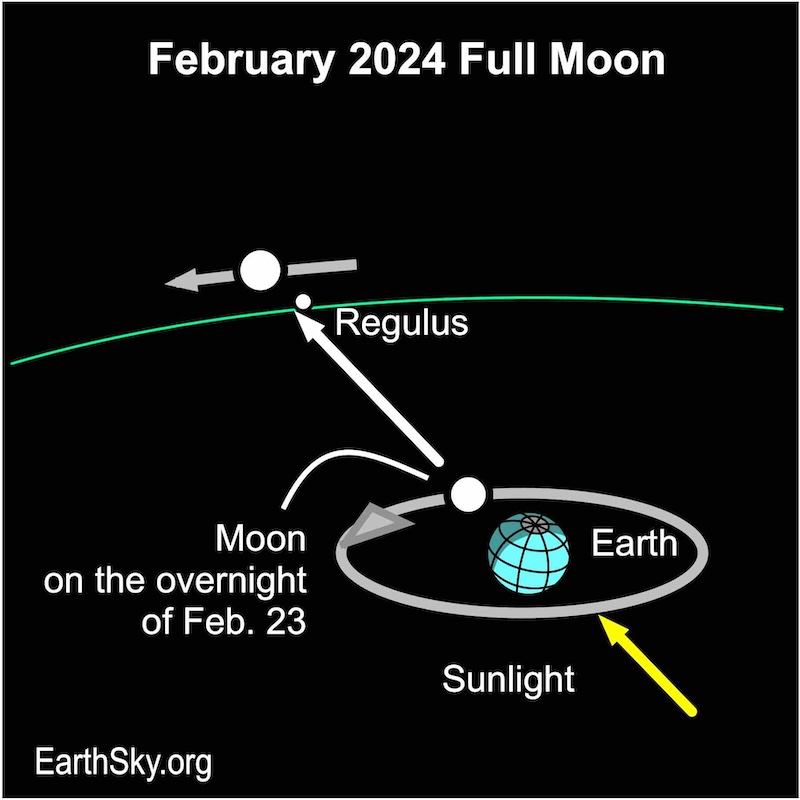 February 2024 full moon lies near Regulus.