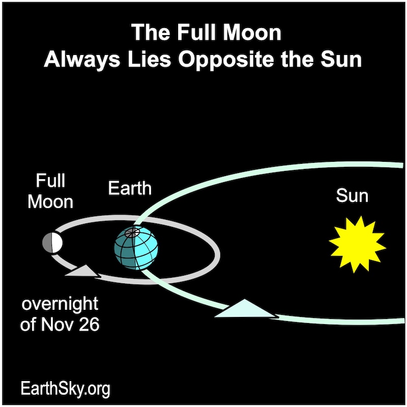 Sun, with orbits of Earth and moon, showing moon on opposite side of Earth from the sun.