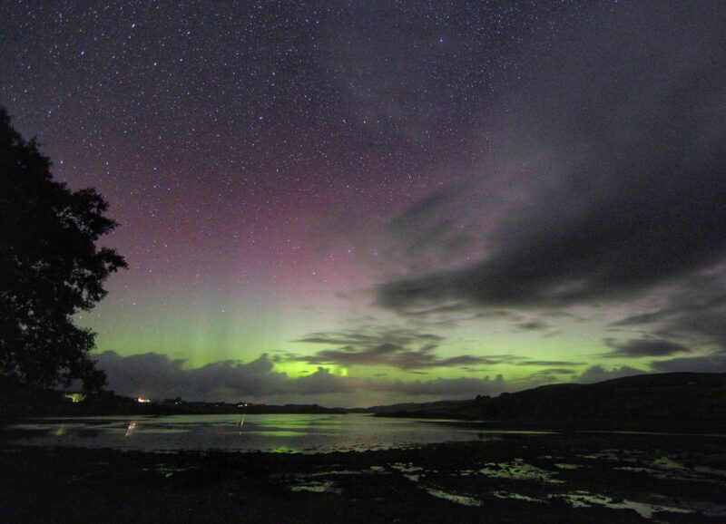 Foreground scenery with a tree and lake and a mild green and red aurora in the distance.