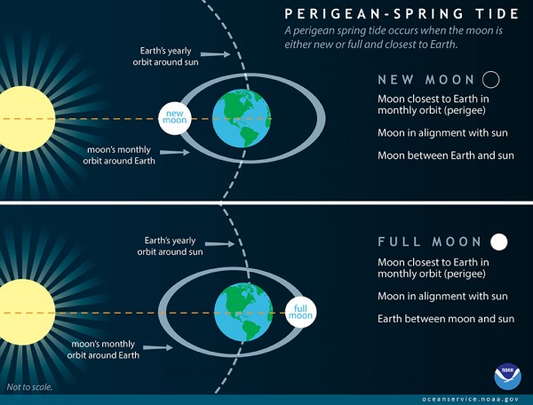 Diagrams: the sun, with moon and Earth's orbits, and their positions during new moon and full moon.