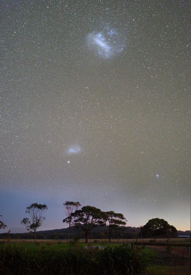 A starry sky with sparse trees in the foreground and two bright, diffuse patches up in the sky.