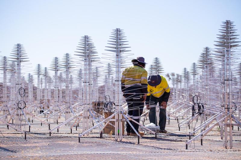 Many tall silvery antennas, each vertical with many branches in a conical shape, with two people.