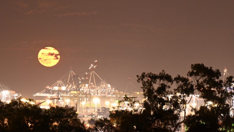 Full yellow supermoon over lighted structures and trees in the foreground.