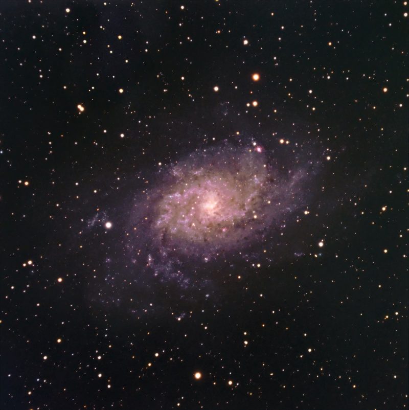 Lavender spiral galaxy with arms swirling counterclockwise, in field of scattered stars.