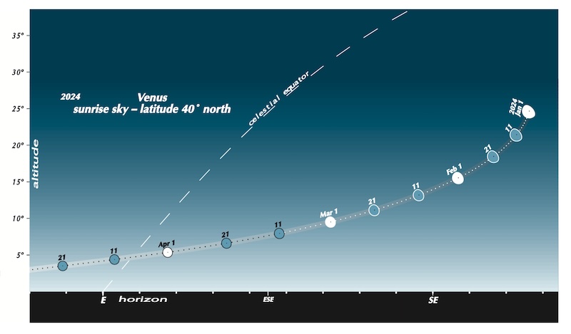 Diagram: Path of Venus over horizon, a pointy arc, with planet's phases with their dates shown along it.